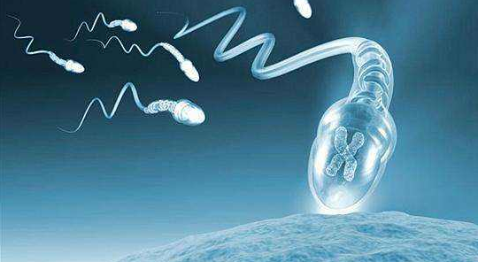 弱精 锌硒宝（锌硒宝对性功能有帮助吗）-硒宝网