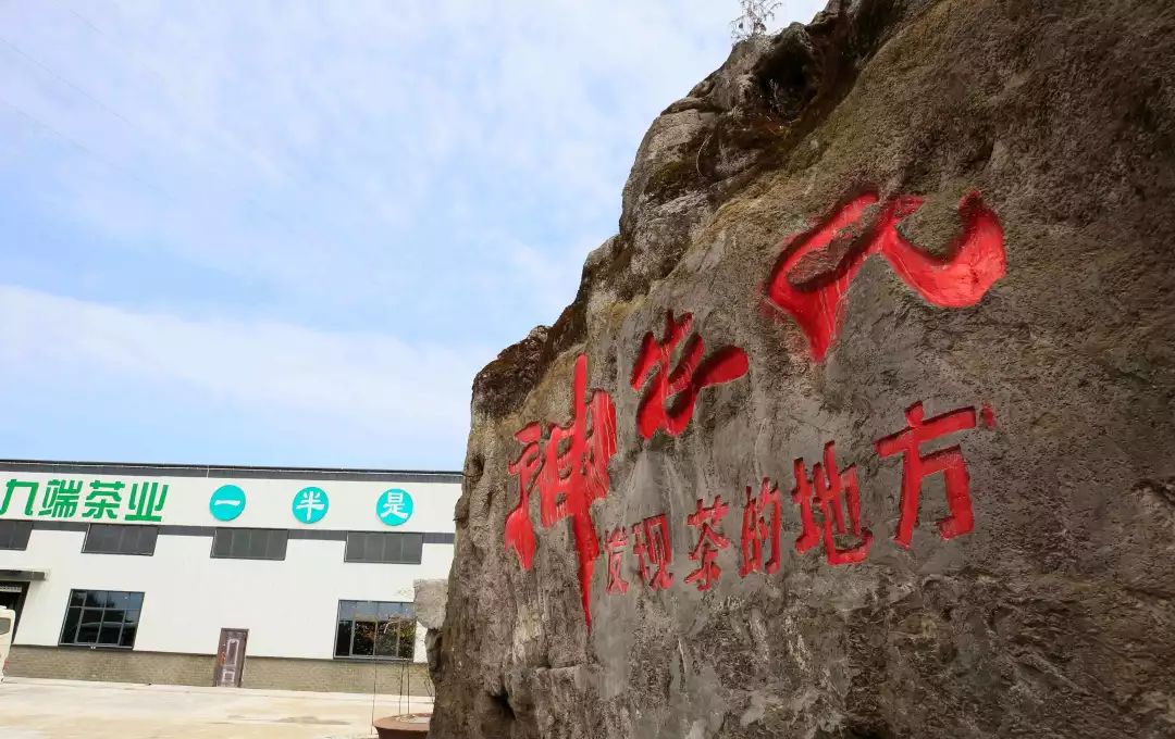 恩施富硒贡茶(湖北恩施贡茶)-硒宝网