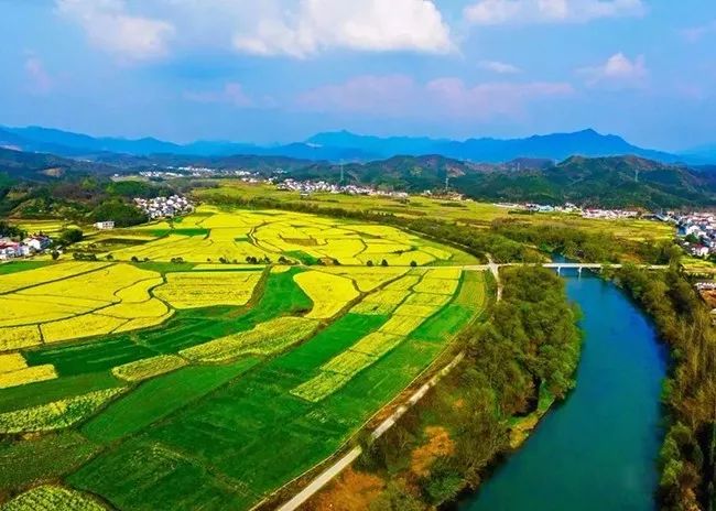 石台富硒大米(石台富硒米的功效与作用)-硒宝网