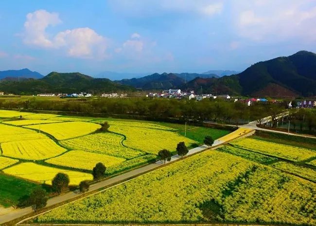 石台富硒大米(石台富硒米的功效与作用)-硒宝网