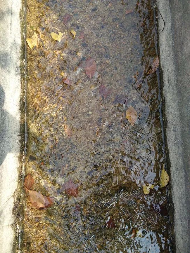 石台富硒大米(石台富硒米的功效与作用)-硒宝网