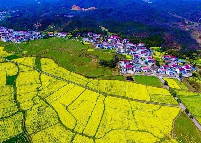 石台富硒大米(石台富硒米的功效与作用)-硒宝网