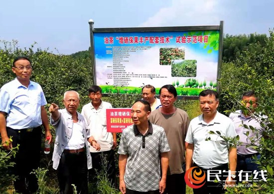 石台县富硒茶（石台县富硒茶）-硒宝网