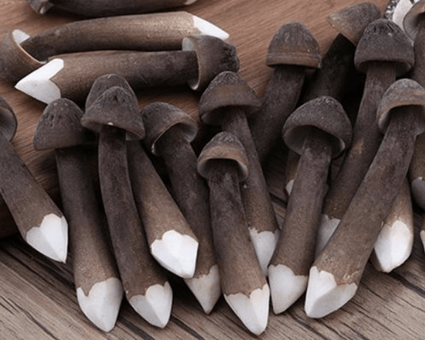 能补硒的食物(能补硒的食物和蔬菜水果有哪些)-硒宝网