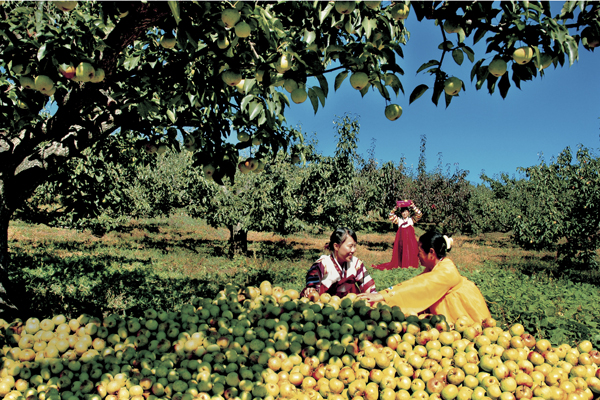 珲春富硒大米（富硒大米好在哪）-硒宝网