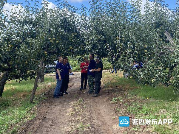 珲春富硒大米（富硒大米好在哪）-硒宝网