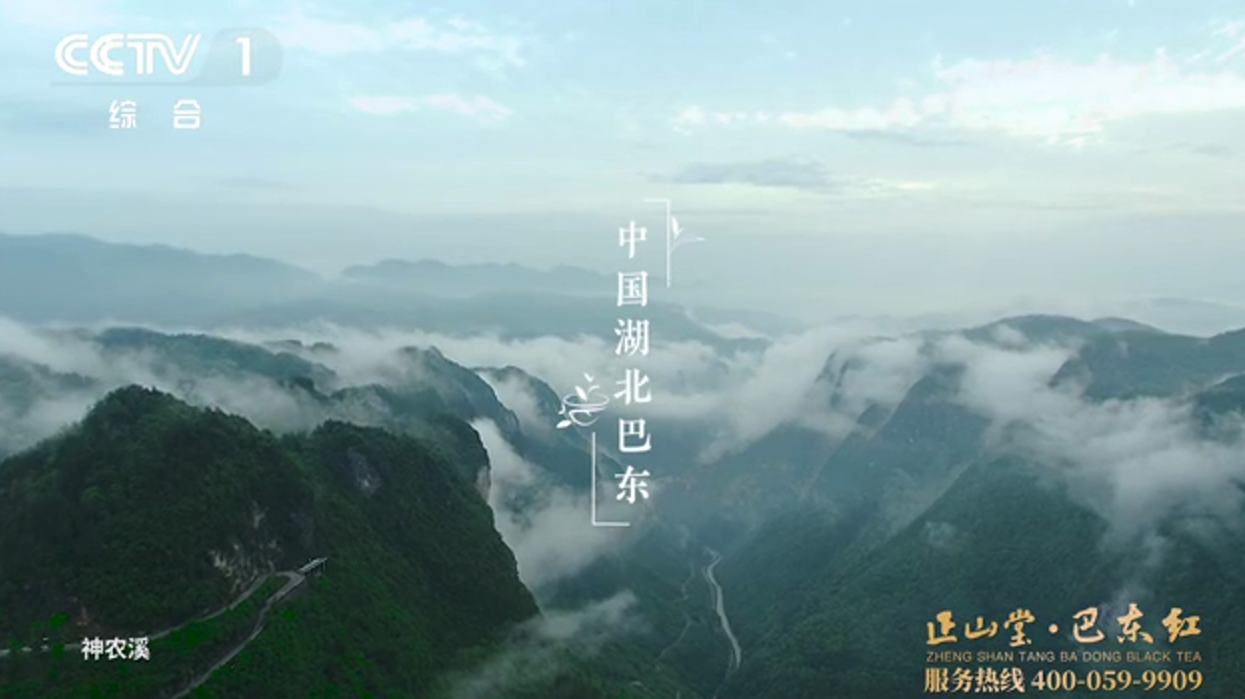 石台富硒野茶（石台富硒野茶）-硒宝网