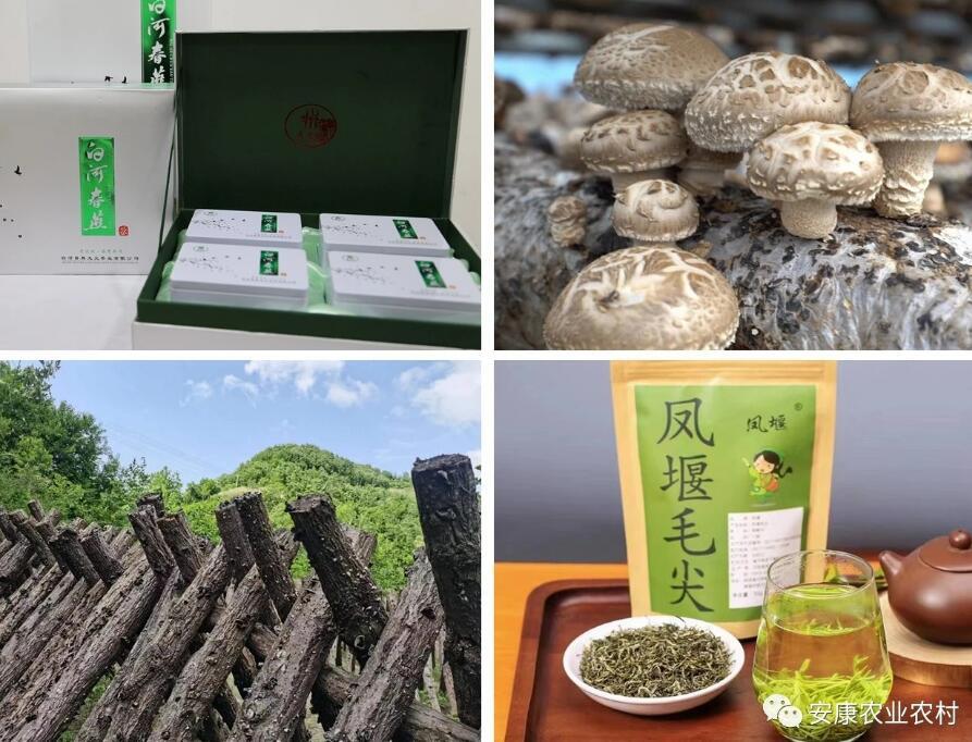富硒茶广告词（富硒茶营销策划方案）-硒宝网