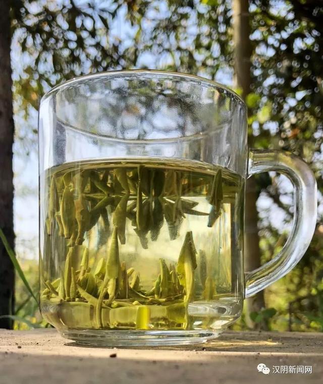 南宫山富硒茶(南宫山富硒茶)-硒宝网