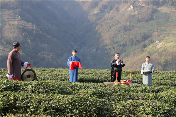南宫山富硒茶（南宫山富硒茶礼盒价格）-硒宝网