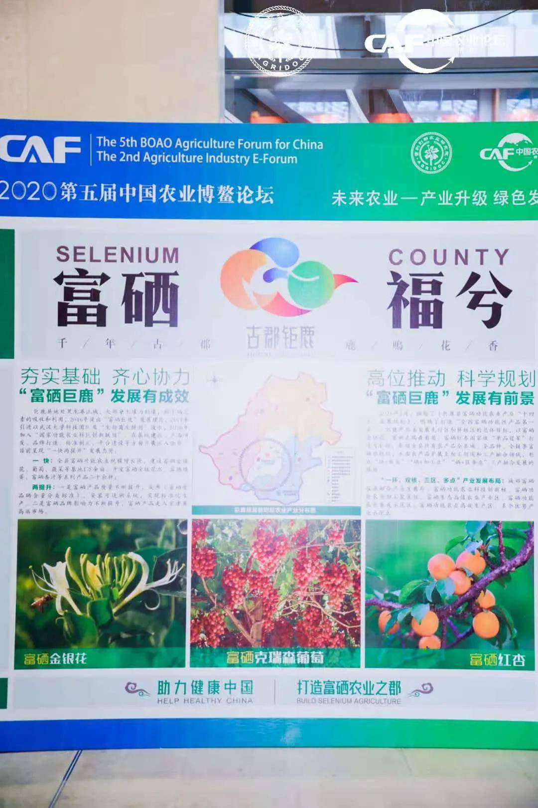 龙游富硒大米(龙潭富硒大米)-硒宝网