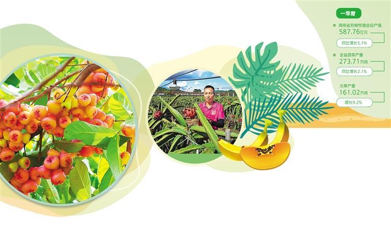 龙游富硒大米(龙潭富硒大米)-硒宝网