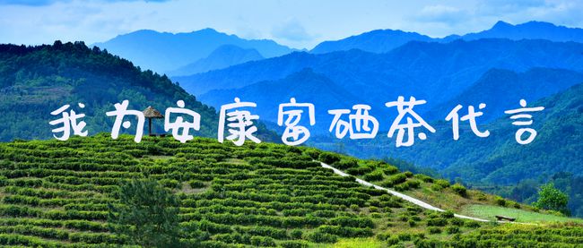 仙寓富硒野茶（仙寓野生茶）-硒宝网