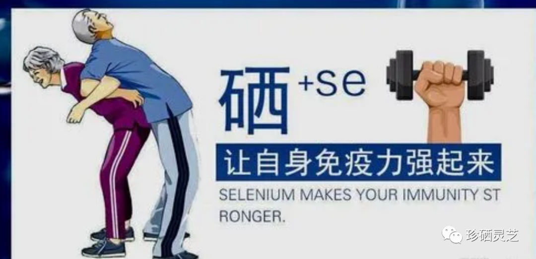 补硒一天多少（补硒一天补多少）-硒宝网