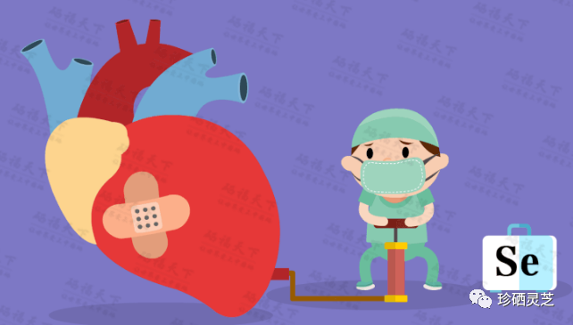 补硒一天多少（补硒一天补多少）-硒宝网