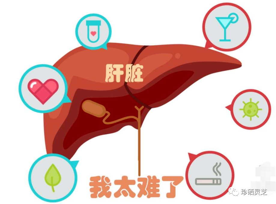补硒一天多少（补硒一天补多少）-硒宝网