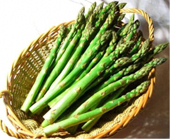 哪些药物补硒(药物补硒好吗)-硒宝网