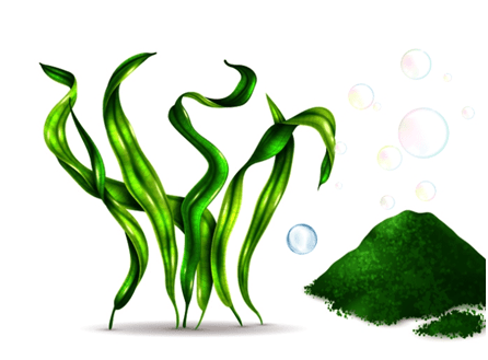 螺旋藻补硒吗(螺旋藻硒片可以长期服用吗)-硒宝网