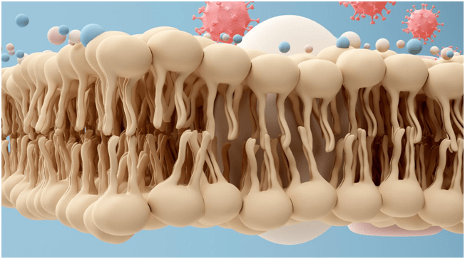 螺旋藻补硒吗(螺旋藻硒片可以长期服用吗)-硒宝网