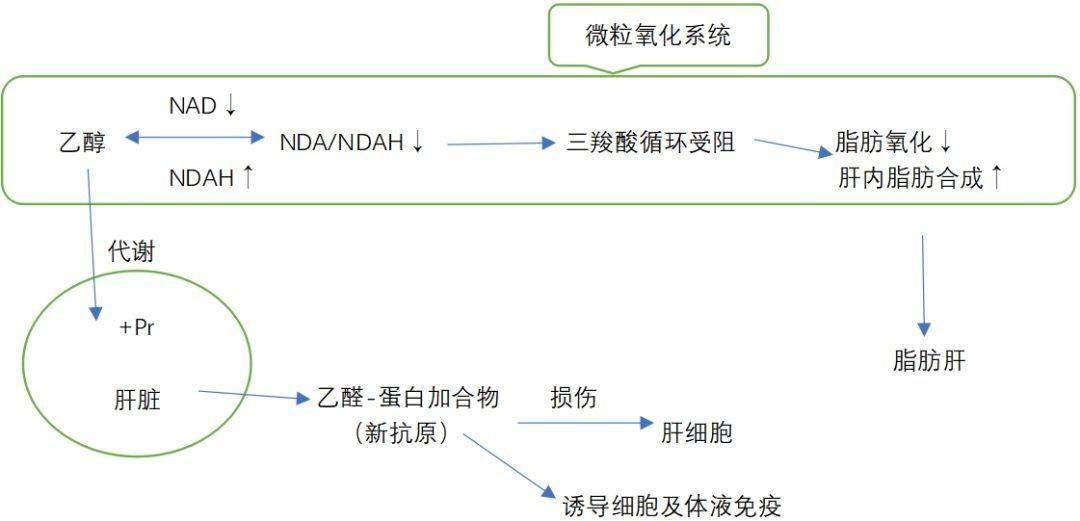 补硒 肝损伤(肝病补硒吃什么硒片)-硒宝网