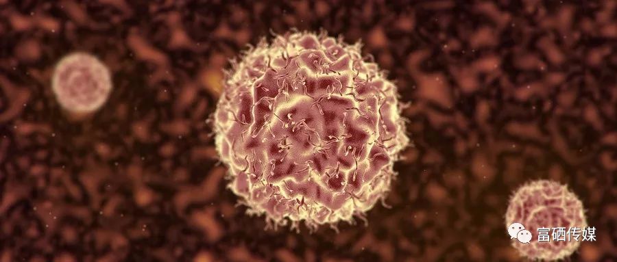 支气管炎补硒(支气管炎补硒)-硒宝网