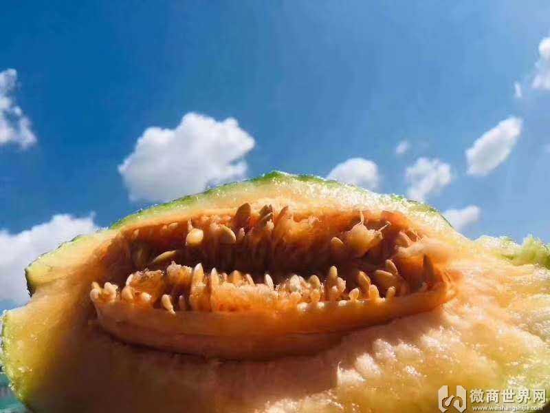 补硒产品代理(补硒骗局视频)-硒宝网