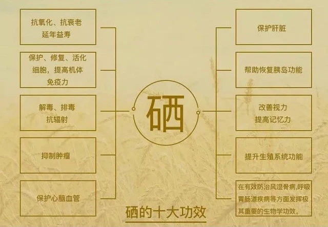 如何自然补硒(补硒元素)-硒宝网