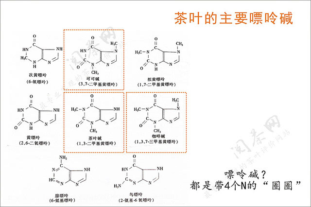 喝什么茶补硒（喝什么茶补硒）-硒宝网