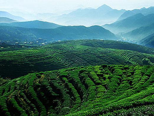 补硒长寿老人(老人补硒的好处)-硒宝网