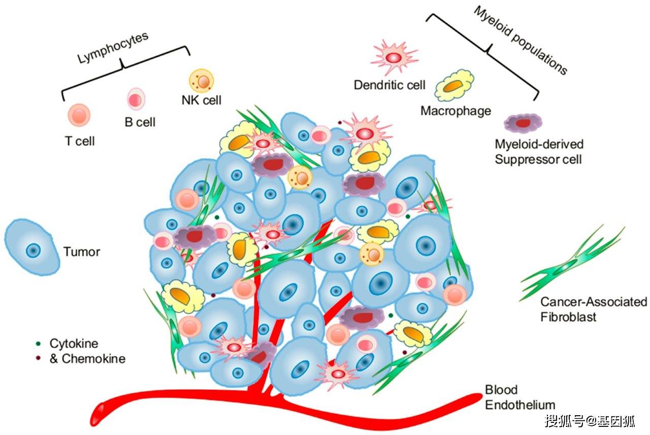 自己怎样补硒(补硒的作用与功效)-硒宝网