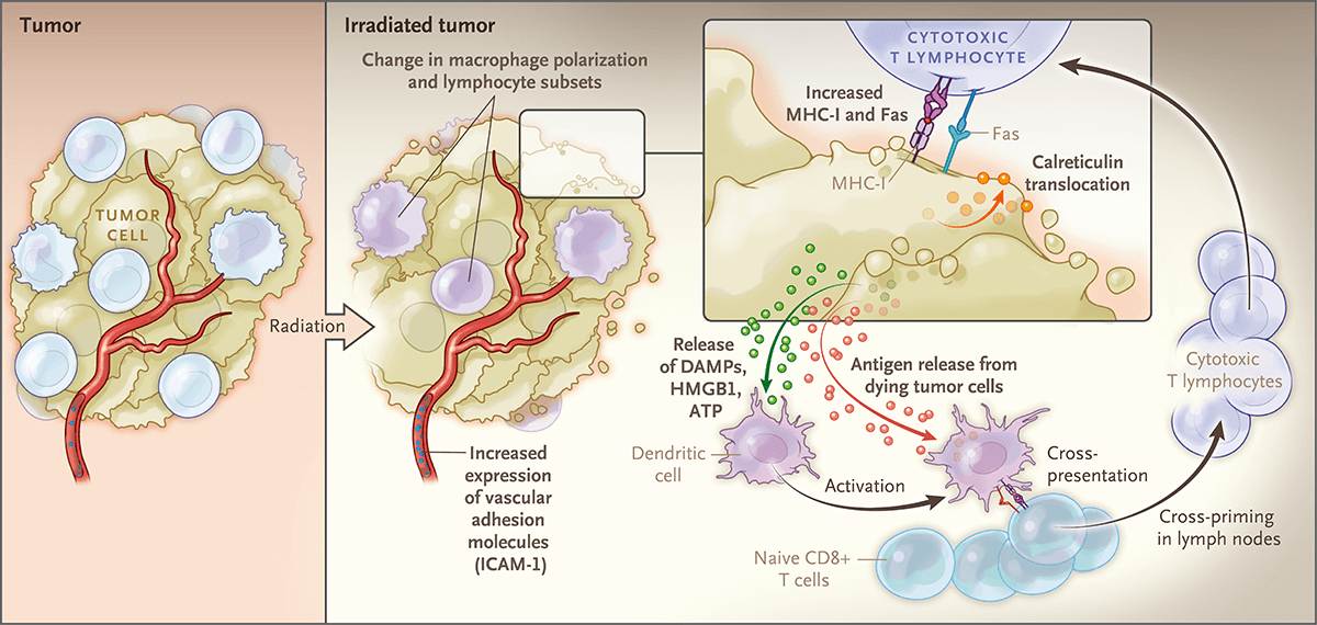 自己怎样补硒(补硒的作用与功效)-硒宝网