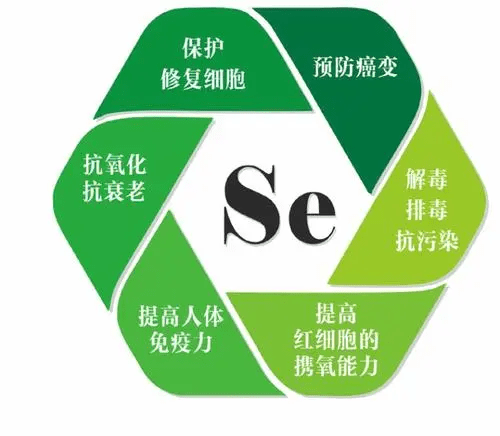 硒酸钠 补硒(硒酸钠 补硒)-硒宝网