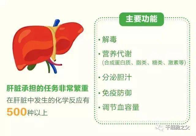 硒的补硒标准（硒的标准是多少）-硒宝网