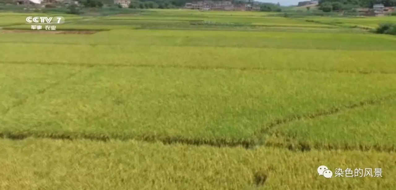 富硒粮仓补硒(富硒粮仓补硒)-硒宝网