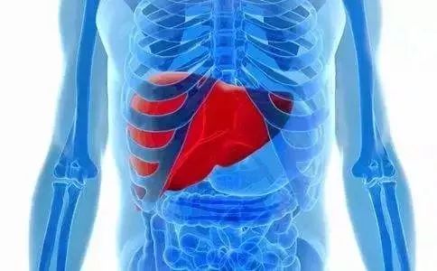 硒酵母片补硒(硒酵母的作用和补硒的好处)-硒宝网