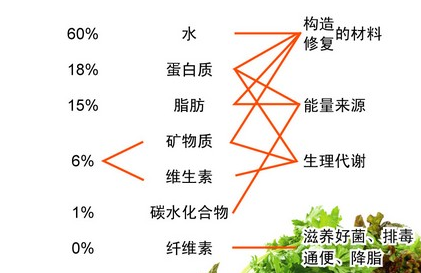 补铁补镁补硒(补镁和铁)-硒宝网