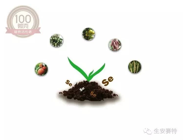 富硒米补硒吗(富硒米补硒吗)-硒宝网