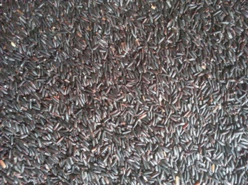 吃硒米补硒吗（吃硒米补硒吗）-硒宝网