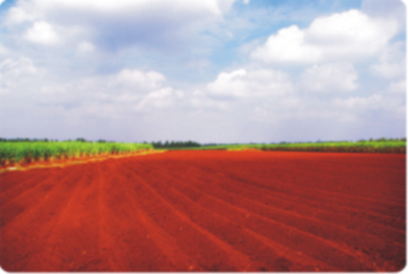 吃硒米补硒吗（吃硒米补硒吗）-硒宝网