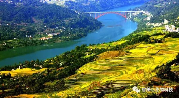 补硒是补碘么(碘的作用和补硒的好处)-硒宝网