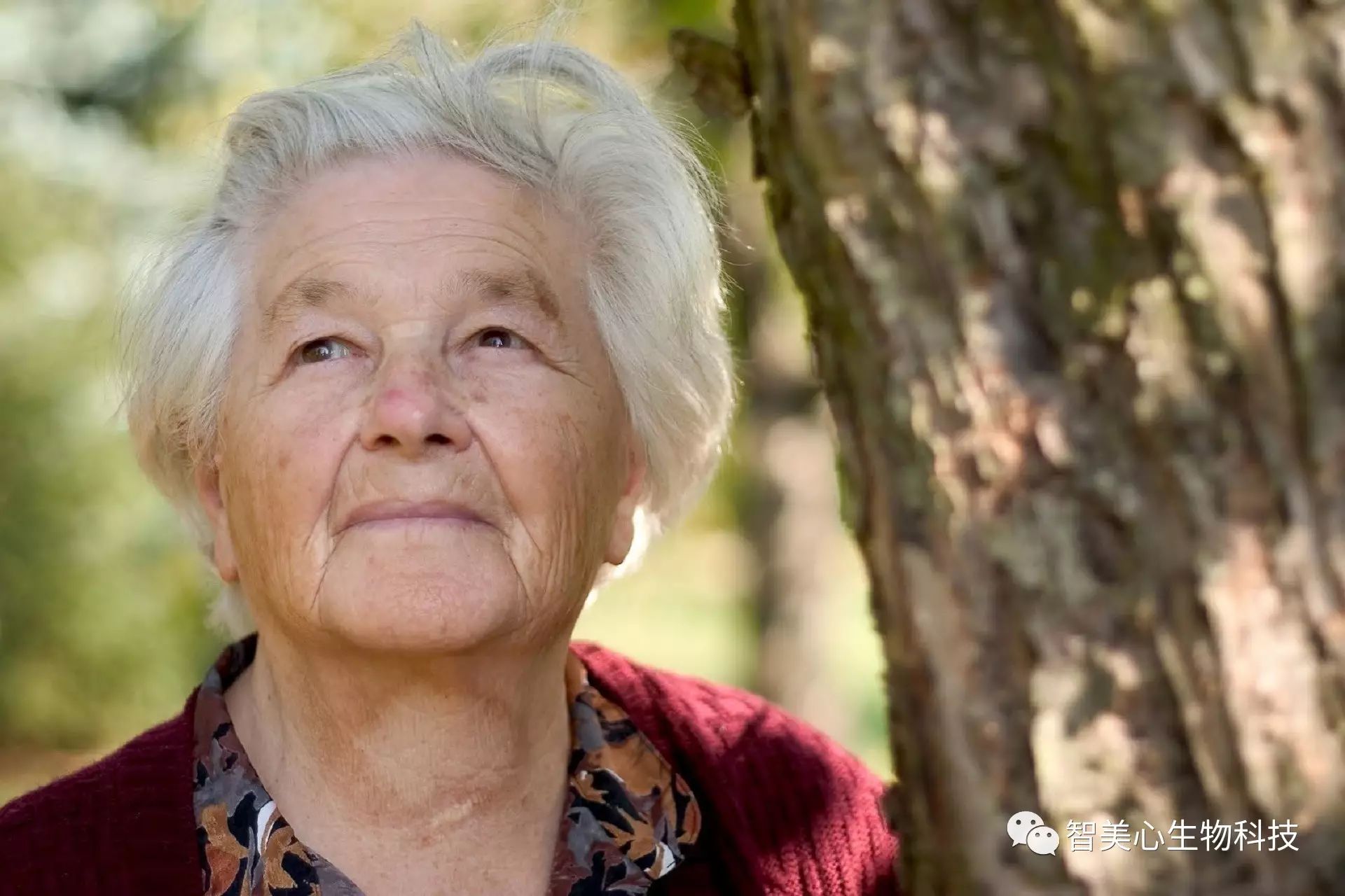 补硒是补碘么(碘的作用和补硒的好处)-硒宝网