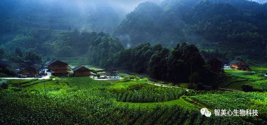 补硒是补碘么(碘的作用和补硒的好处)-硒宝网