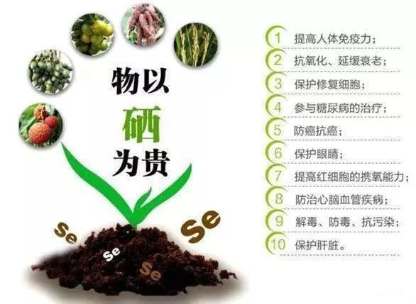 应该如何补硒（补硒需要吃什么）-硒宝网