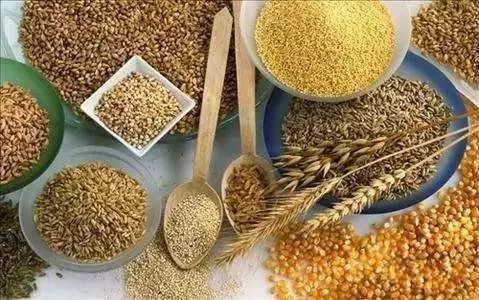 应该如何补硒（补硒需要吃什么）-硒宝网