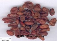 补硒长寿猪肉(补硒长寿猪肉)-硒宝网