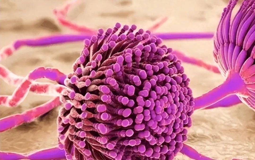 长期补硒致癌(致癌补长期硒片有用吗)-硒宝网