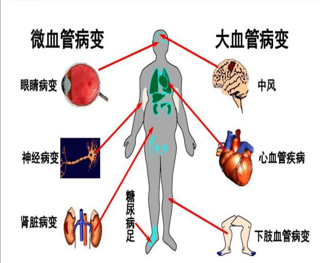 补硒觉得口干(科学补硒)-硒宝网