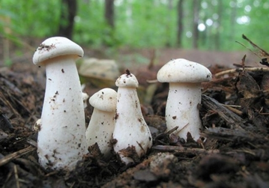 秋季补硒好吗（适当补硒）-硒宝网