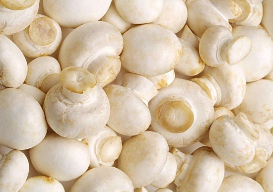 秋季补硒好吗（适当补硒）-硒宝网