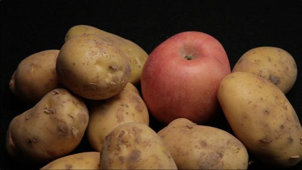 羊羔补硒过量（羊羔补硒过量）-硒宝网